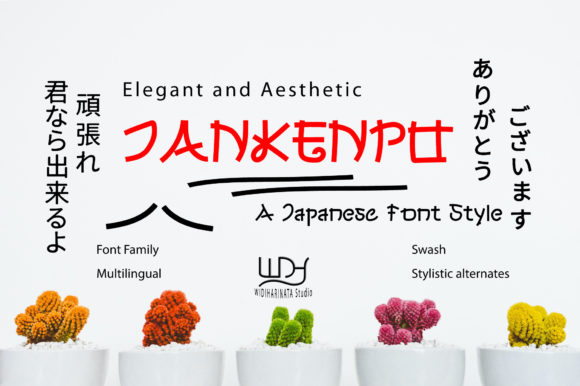 Jankenpo: A Distinctive Display Font for Digital Branding